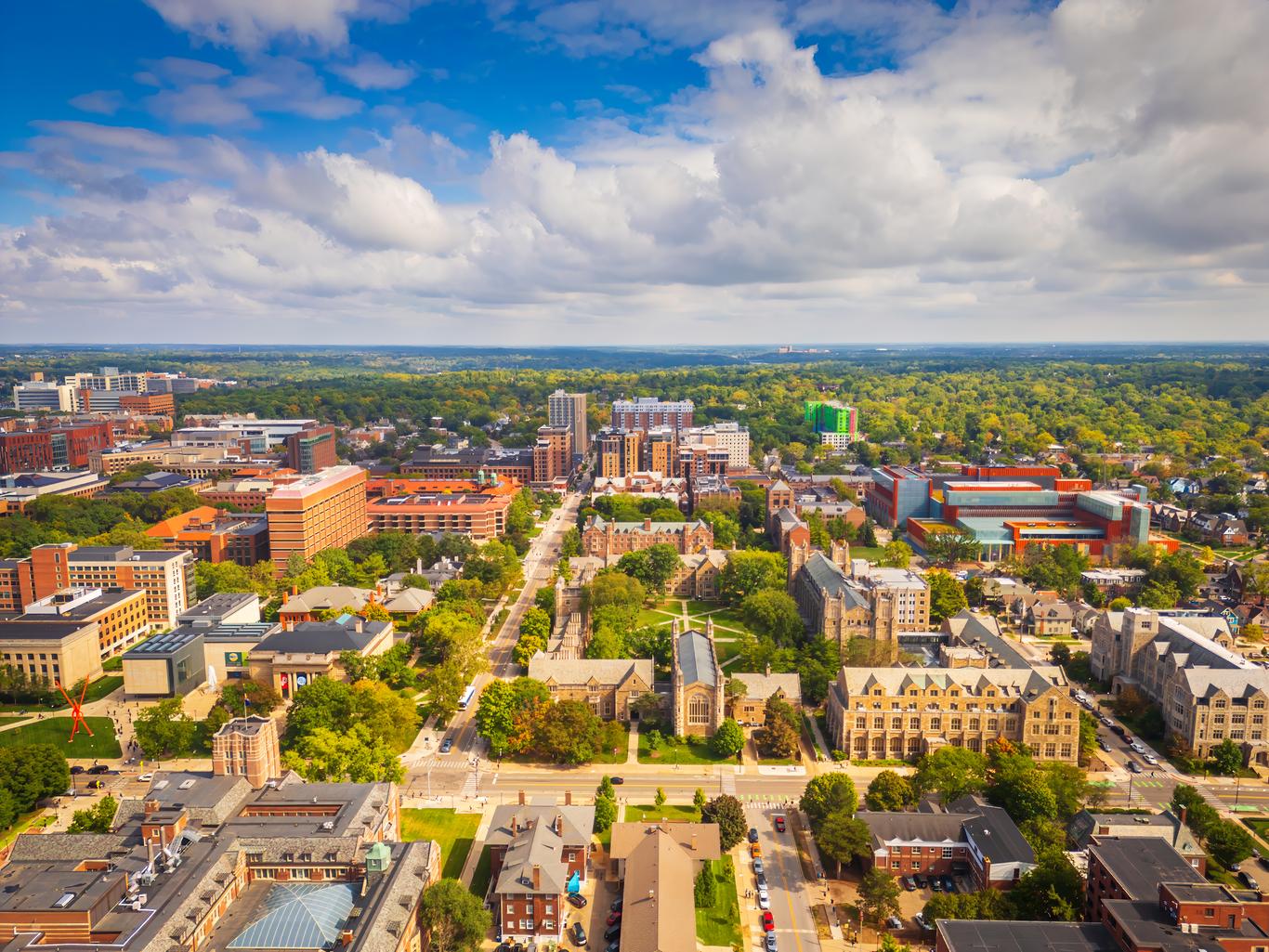 Ann Arbor, MI içinde mobilyalı kiralık daireler