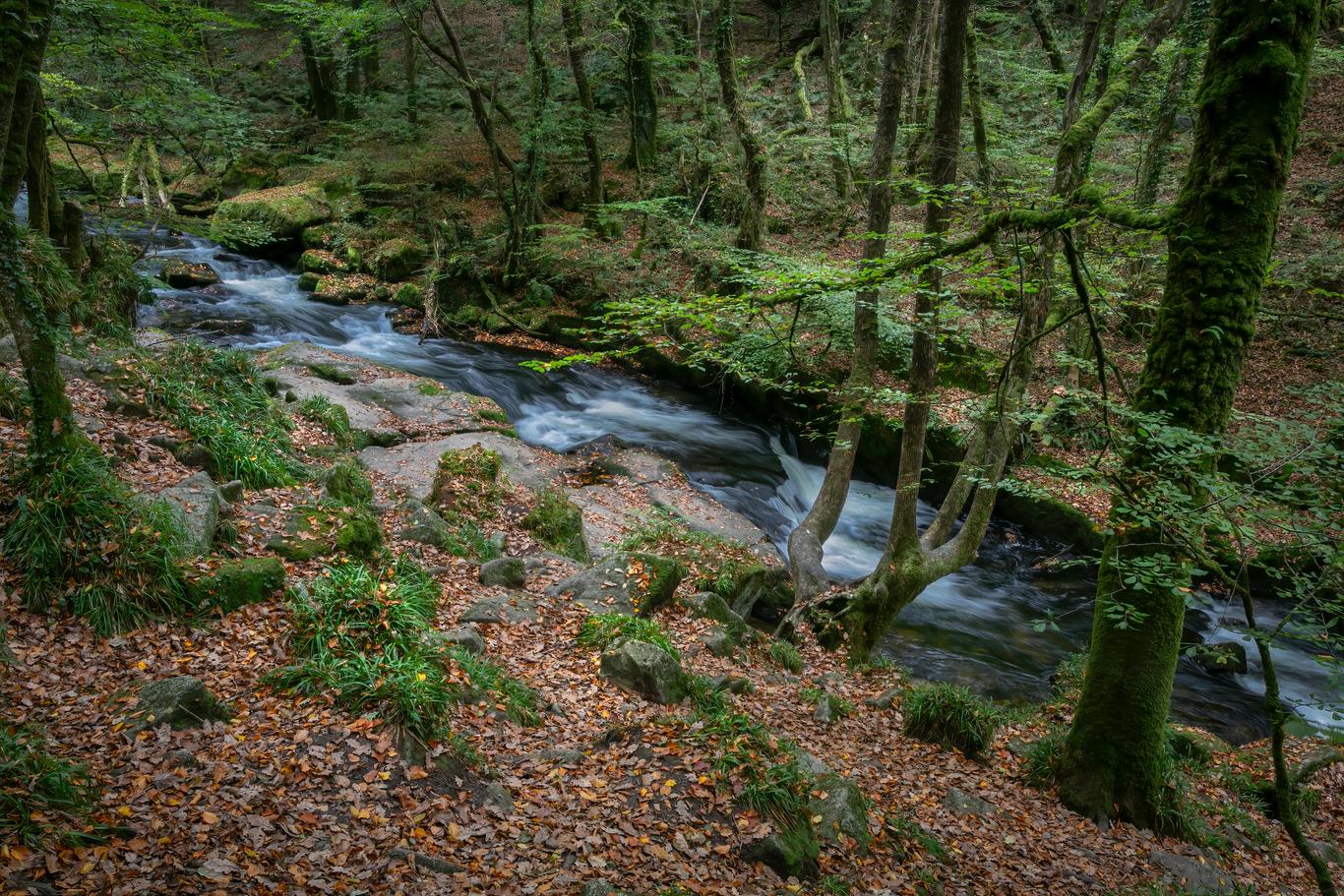 Pisos amueblados en alquiler en Bodmin