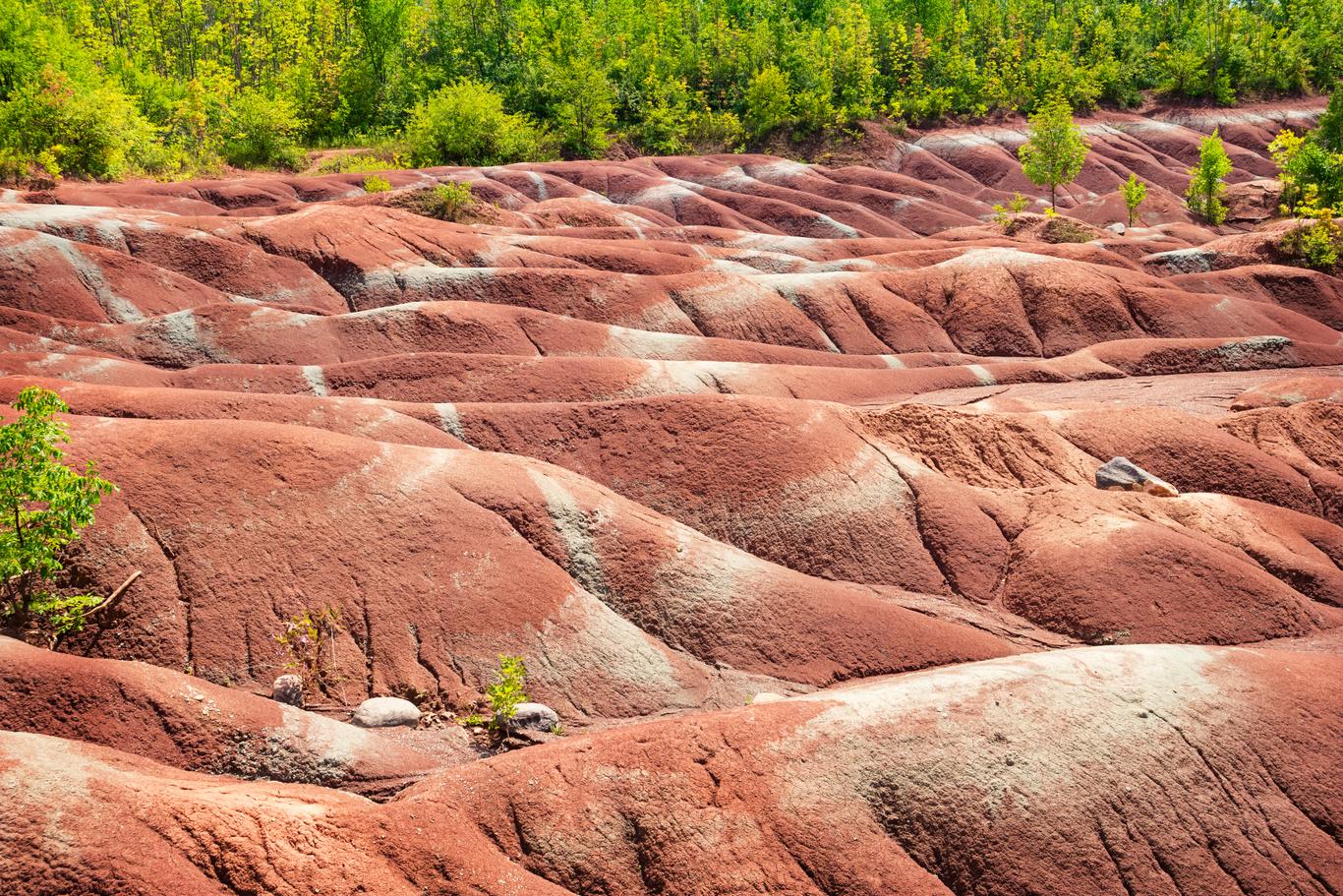 Appartements meublés à louer à Brampton