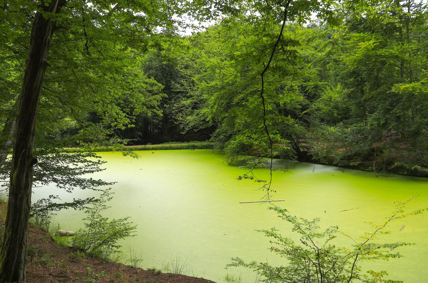 Eisenach içinde mobilyalı kiralık daireler