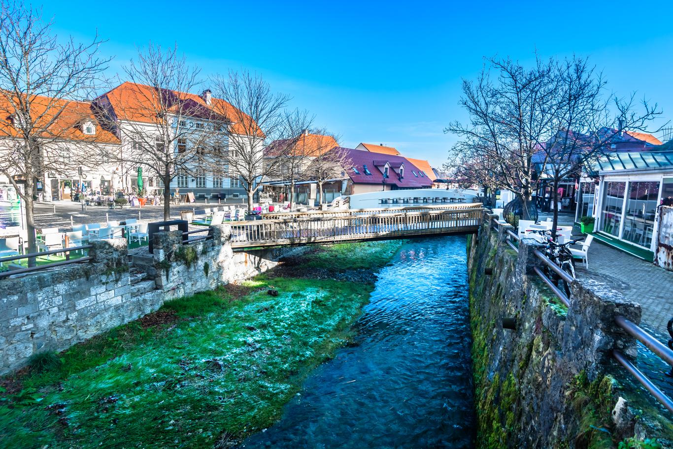 Alugue apartamentos de 2 quartos premium mobiliados em Ljubljeva