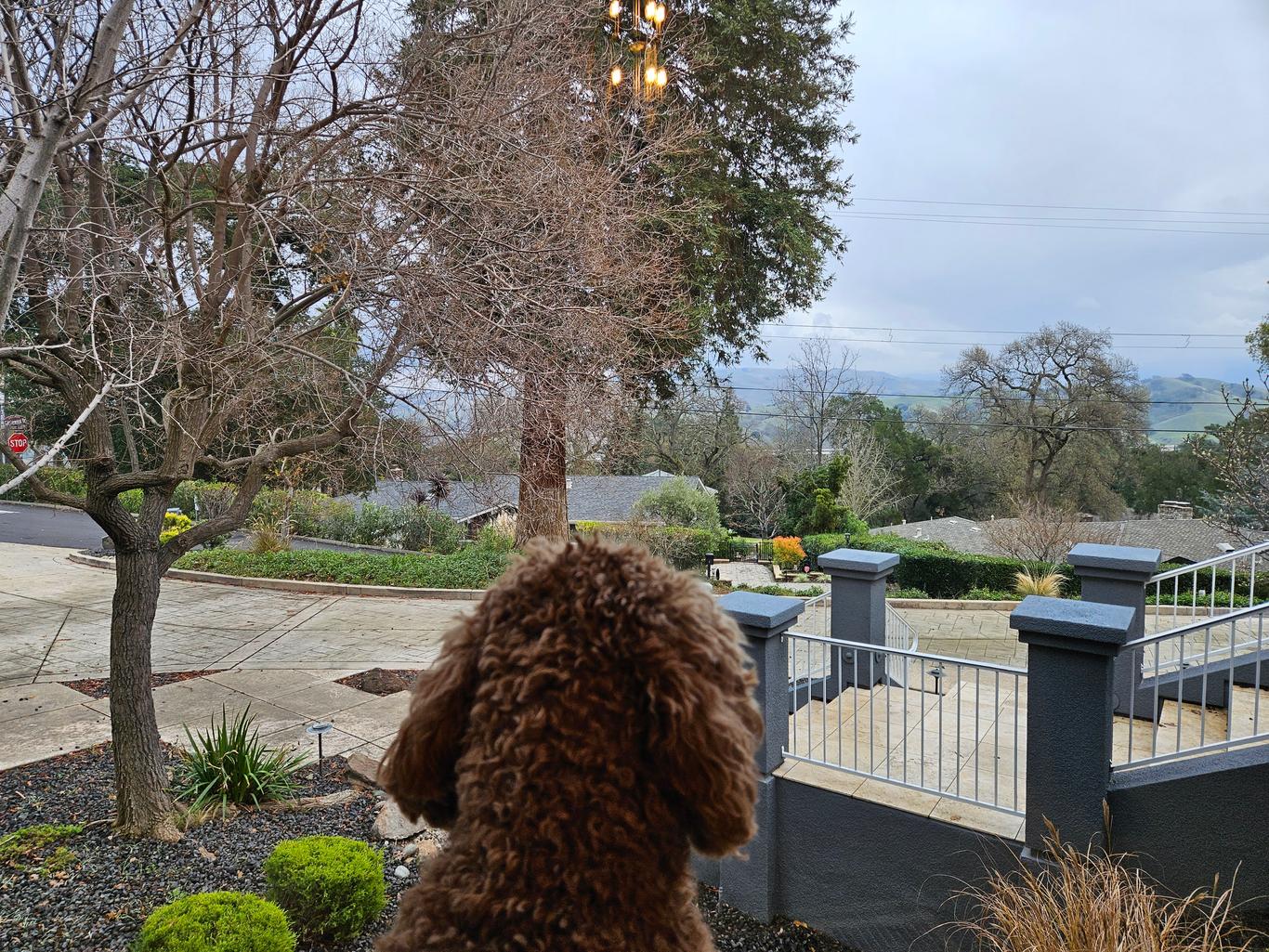 Möblierte Wohnungen zur Miete in Pleasanton, CA