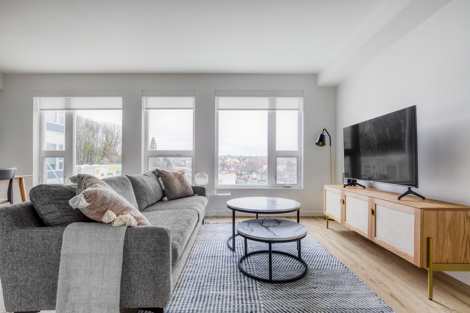 Mt Baker 1BR w/ Gym & Rooftop, next to light rail (SEA-190)