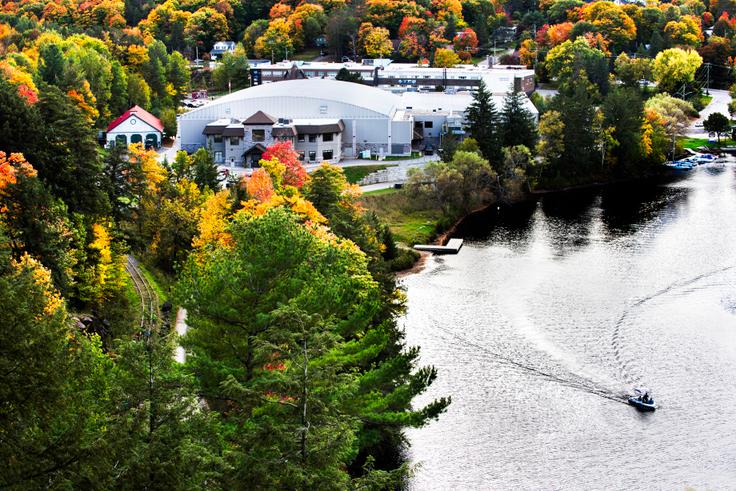 Collège Algonquin
