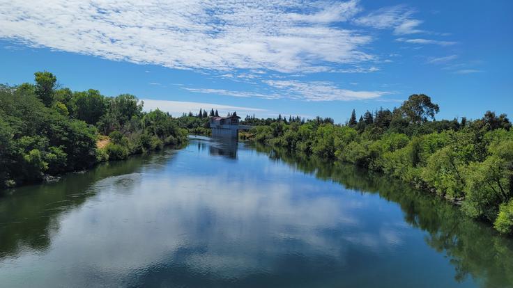 American River College