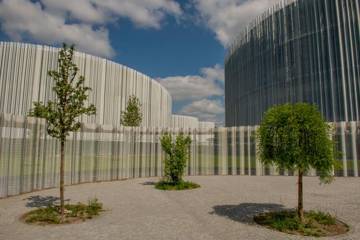 Bocconi Üniversitesi