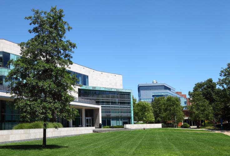 Brandeis University