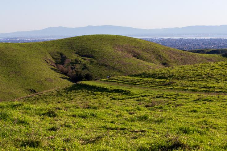 California State University, East Bay