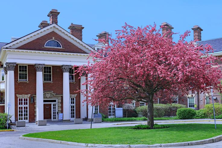 Campion College
