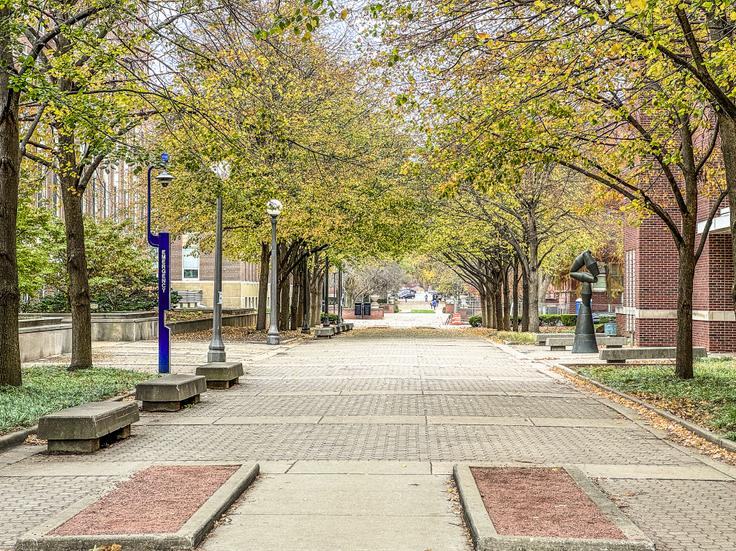 Capital University
