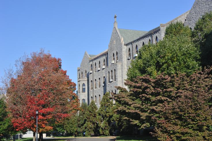 Kutsal Kalp Katolik Üniversitesi