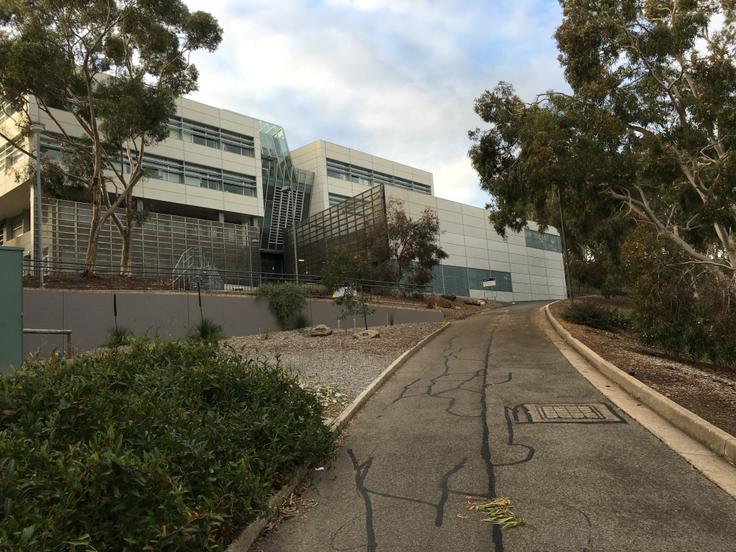 Flinders University