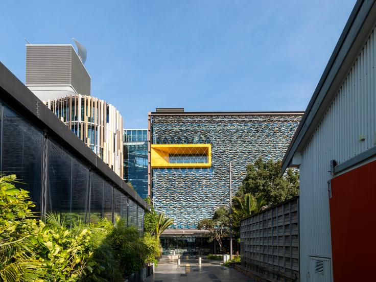Manukau Institute of Technology
