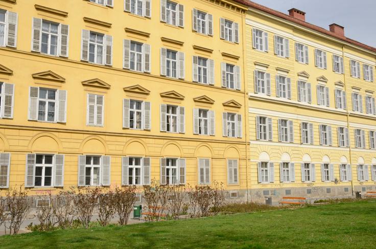 Universidad de Medicina de Graz