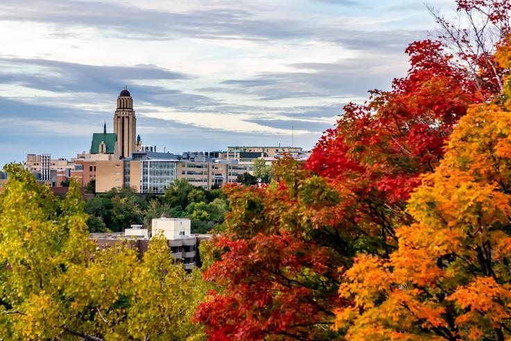 Universidad Mount Royal