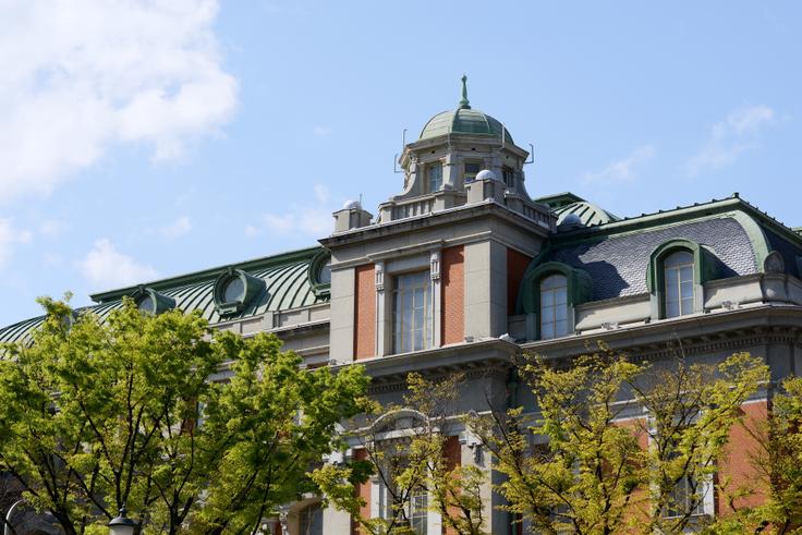 Osaka International University