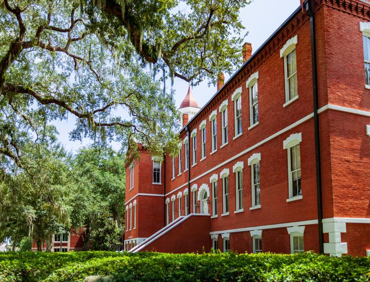 South University, Savannah