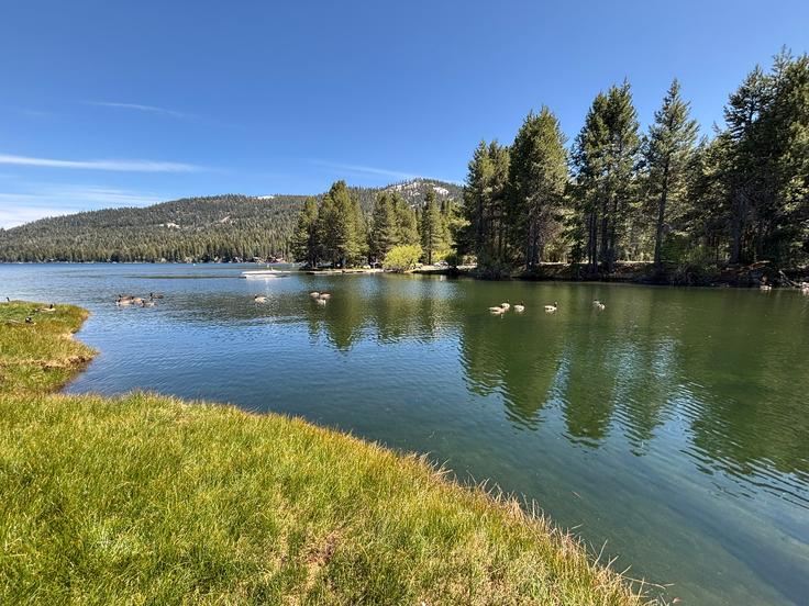 Truckee Meadows Community College