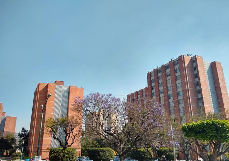 Universidade Anáhuac México, Campus Norte