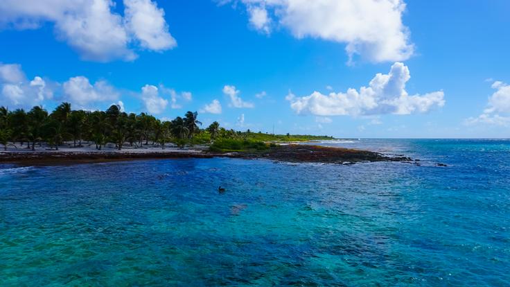Quintana Roo Eyaleti Özerk Üniversitesi