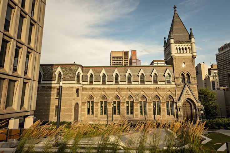 Montreal Üniversitesi