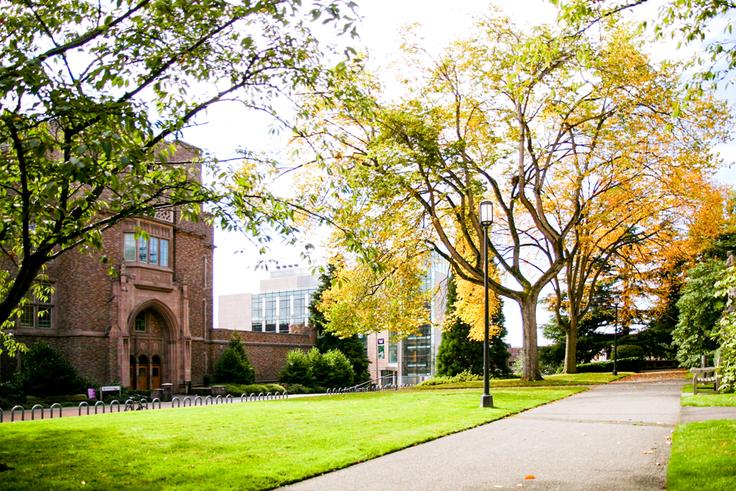 Washington University in St. Louis