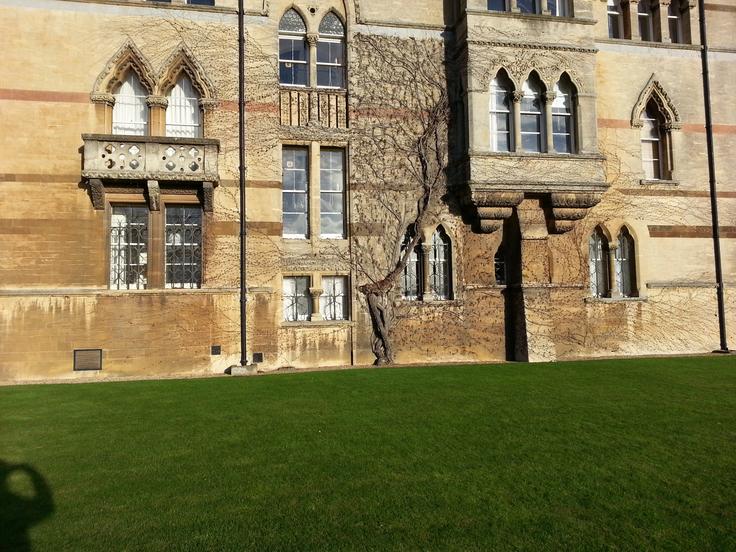 William Peace University