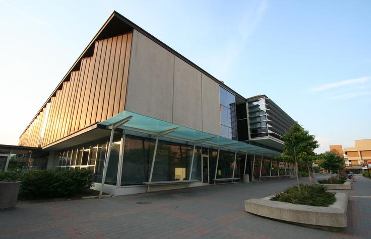 York University