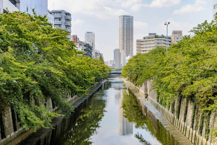 Furnished 2 Bedroom Apartments for Rent in Meguro, Tokyo | Blueground