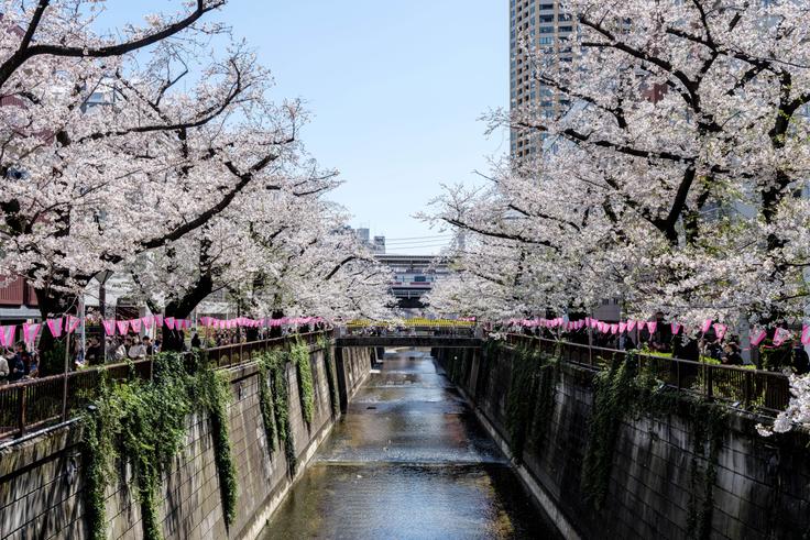 Furnished 2 Bedroom Apartments for Rent in Meguro, Tokyo | Blueground