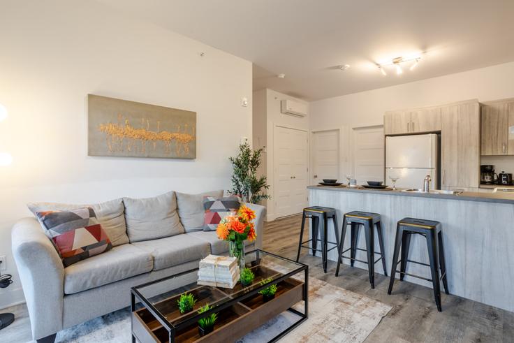 Southwest, Montreal에 위치한 Building Rue Barré - 9547-9267-quebec-inc - 1601940 유닛의 세련된 인테리어가 돋보이는 거실 Southwest, Montreal에 위치한 Building Rue Barré - 9547-9267-quebec-inc - 1601940 유닛의 세련된 인테리어가 돋보이는 거실