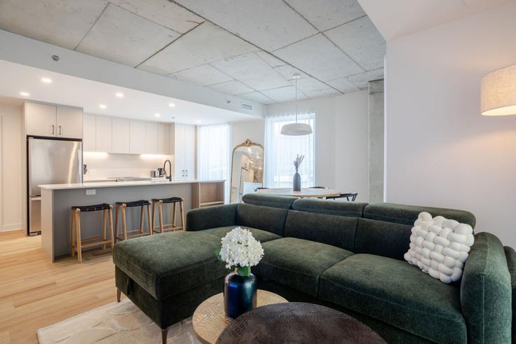 Salle de séjour élégante avec mobilier moderne dans un appartement à Building Rue Saint-François-Xavier - 9547-9267-quebec-inc - 1602012 à Ville-Marie, Montreal Salle de séjour élégante avec mobilier moderne dans un appartement à Building Rue Saint-François-Xavier - 9547-9267-quebec-inc - 1602012 à Ville-Marie, Montreal