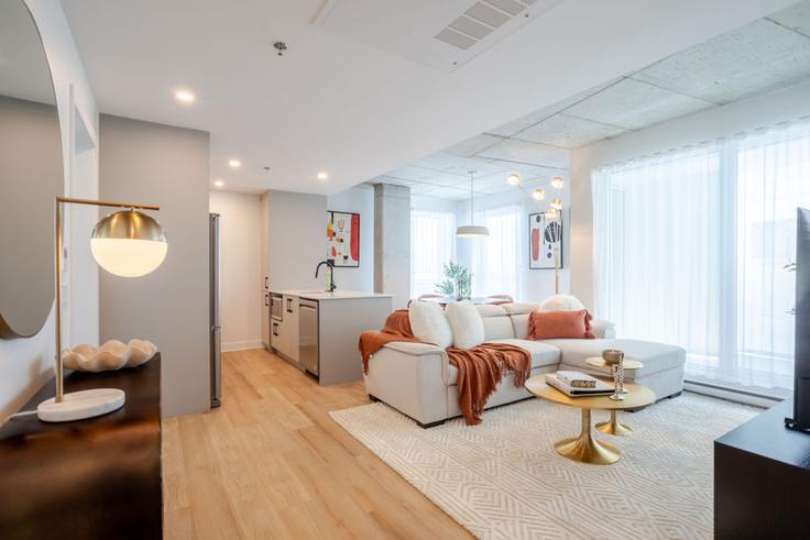 Salle de séjour élégante avec mobilier moderne dans un appartement à Building Rue Saint-François-Xavier - 9547-9267-quebec-inc - 1602059 à Ville-Marie, Montreal Salle de séjour élégante avec mobilier moderne dans un appartement à Building Rue Saint-François-Xavier - 9547-9267-quebec-inc - 1602059 à Ville-Marie, Montreal
