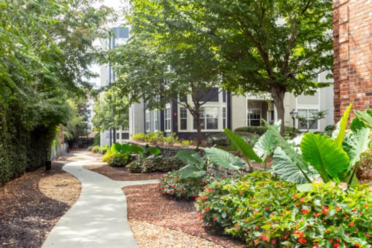 2 yatak odalı mobilyalı daire North Avenue Northeast 1258369P , Atlanta, Atlanta, fotoğraf 16