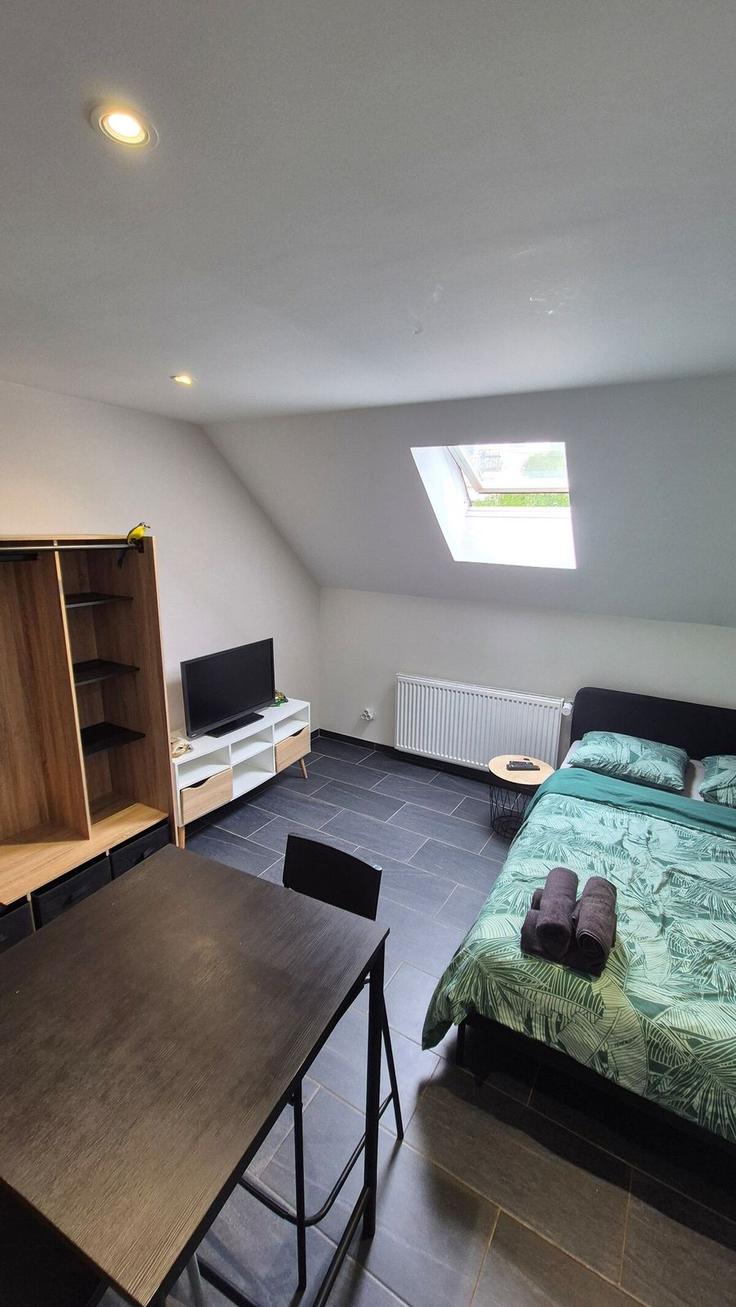 1 yatak odalı mobilyalı daire Rue de Bâle 1076493P , Mulhouse, Mulhouse, fotoğraf 1 1 yatak odalı mobilyalı daire Rue de Bâle 1076493P , Mulhouse, Mulhouse, fotoğraf 1