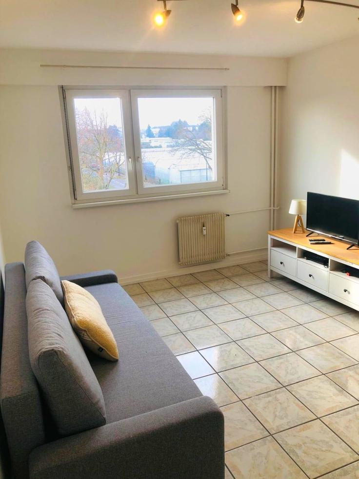 Building Avenue du Repos - agence-fleurine - 1076504 - PAR adresindeki bir dairede modern mobilyalarla zarif bir şekilde tasarlanmış oturma odası Mulhouse, Mulhouse Building Avenue du Repos - agence-fleurine - 1076504 - PAR adresindeki bir dairede modern mobilyalarla zarif bir şekilde tasarlanmış oturma odası Mulhouse, Mulhouse