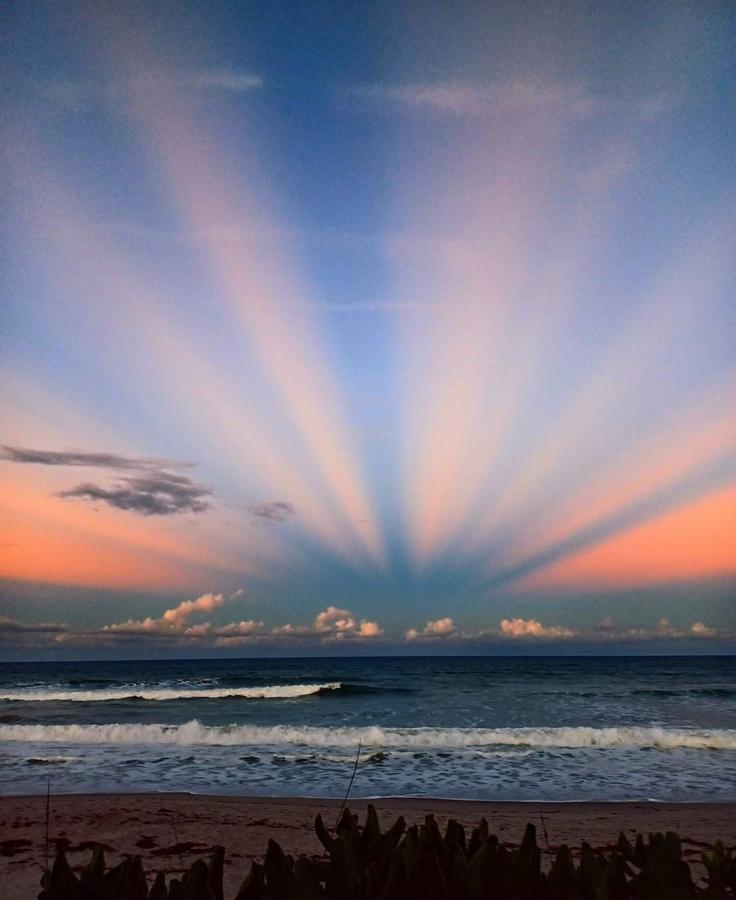 Pencere Görünümü