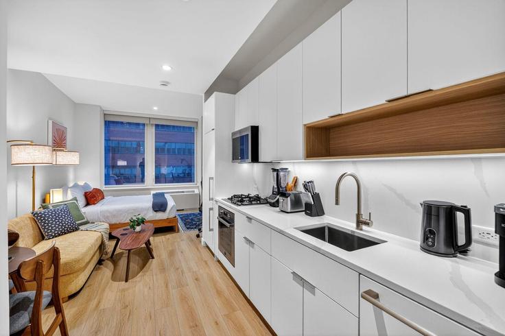 Manhattan, New York 소재 Building Water Street - anyplaceru - 1328672의 고급 유닛에 마련된, 최상급 설비를 갖춘 실용적이고 세련된 주방