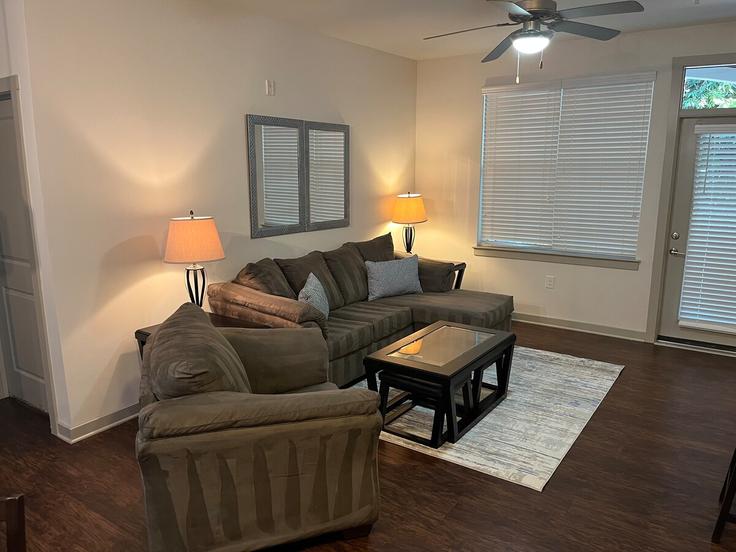 Elegant gestaltetes Wohnzimmer mit moderner Einrichtung in einer Wohnung im Building Flat Branch Close Drive - aplusaccommodations - 1353798 in Charlotte, Charlotte