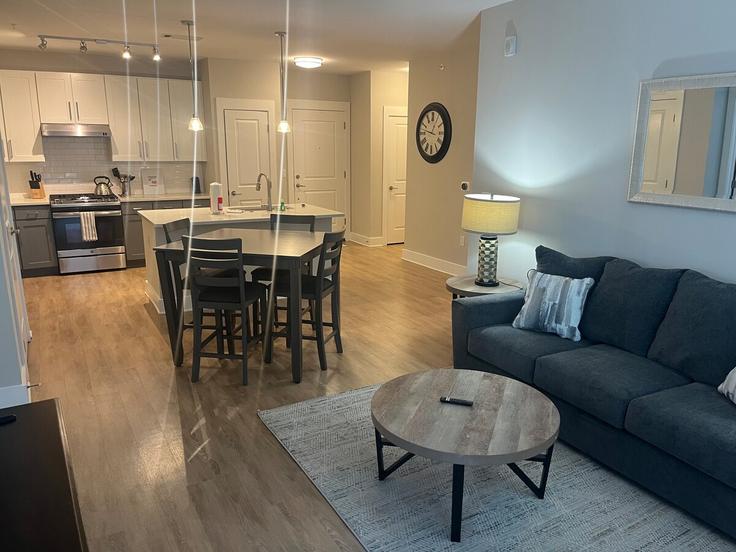 Elegante sala de estar con mobiliario moderno en un apartamento en Building Ardrey Kell Road - aplusaccommodations - 1344153 en Charlotte, Charlotte