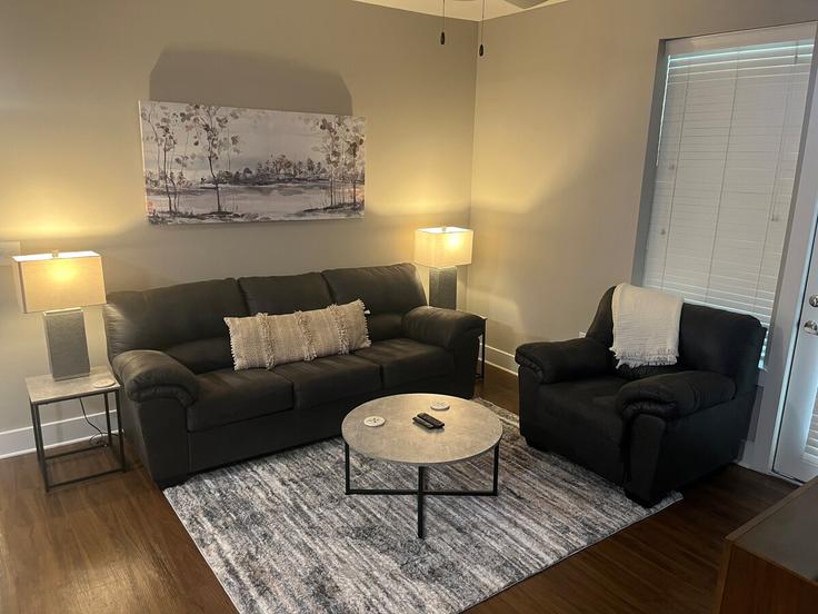 Elegant gestaltetes Wohnzimmer mit moderner Einrichtung in einer Wohnung im Building Broad Street - aplusaccommodations - 1344155 in Charlotte, Charlotte