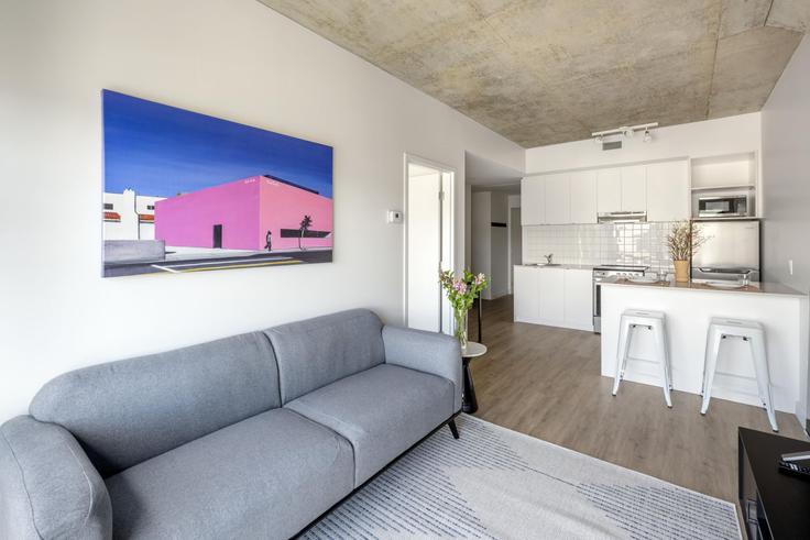 Salle de séjour élégante avec mobilier moderne dans un appartement à Building Boulevard René-Lévesque Ouest - appartements-dorchester-by-rakotta - 1303408 - TOR à Ville-Marie, Montreal