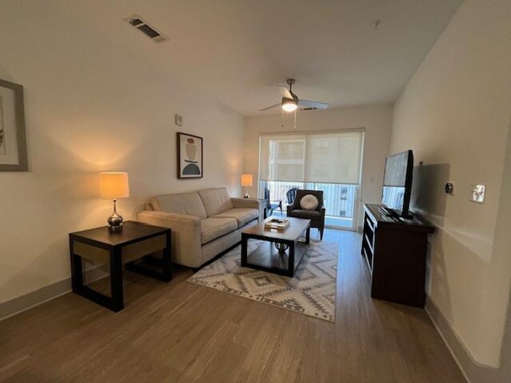 Salle de séjour élégante avec mobilier moderne dans un appartement à Building Krog Street Northeast - ar-national-short-term-housing - 1344754 à Atlanta, Atlanta Salle de séjour élégante avec mobilier moderne dans un appartement à Building Krog Street Northeast - ar-national-short-term-housing - 1344754 à Atlanta, Atlanta