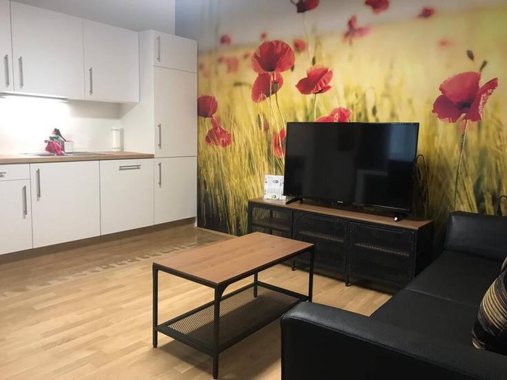 Elegante sala de estar con mobiliario moderno en un apartamento en Building Hubergasse - arbiogroup - 1046195 en Vienna, Vienna