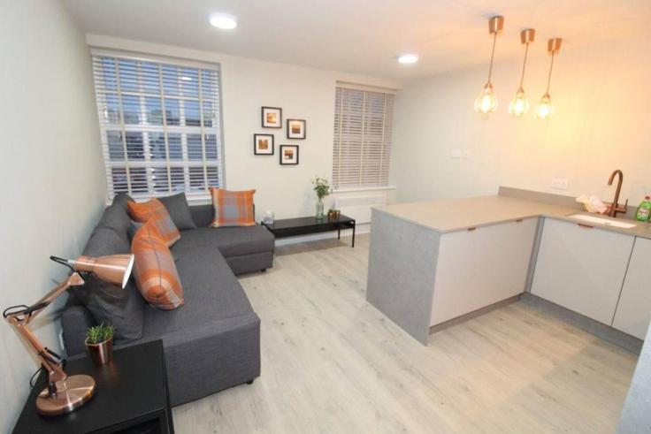 City of Preston, Preston에 위치한 Building Fleet Street - balloon-bnb - 1346543 아파트의 세련된 인테리어가 돋보이는 거실
