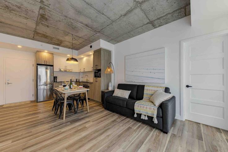 Québec City La Cité-LimoilouのBuilding Rue Sainte-Marguerite - cg-immobilier-royale-inc - 1634795のアパートメントにある、モダンな家具を備えたエレガントなデザインのリビングルーム