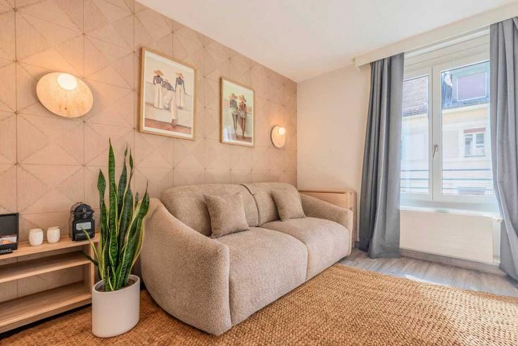 Geneva Pâquis-NationsのBuilding Rue Sismondi - checkmyguest - 1348794のアパートメントにある、モダンな家具を備えたエレガントなデザインのリビングルーム Geneva Pâquis-NationsのBuilding Rue Sismondi - checkmyguest - 1348794のアパートメントにある、モダンな家具を備えたエレガントなデザインのリビングルーム