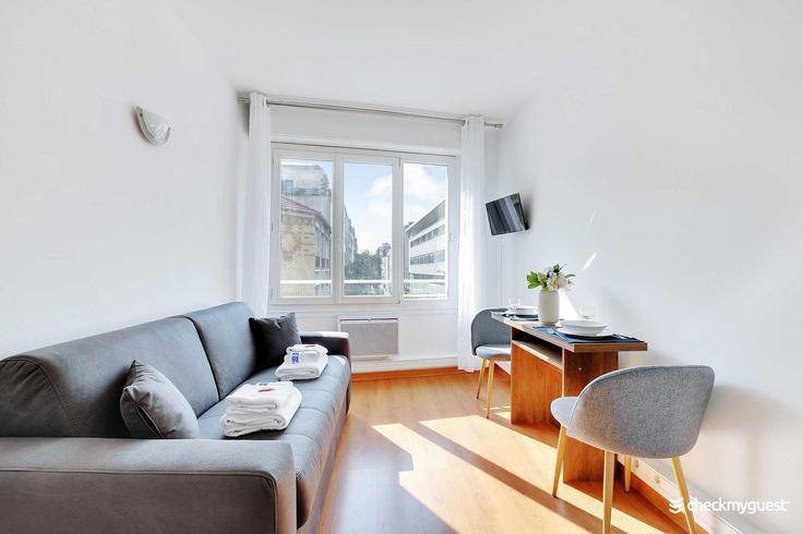 Elegante sala de estar con mobiliario moderno en un apartamento en Building Rue Olivier de Serres - checkmyguest - 1350209 en 15th arrondissement, Paris