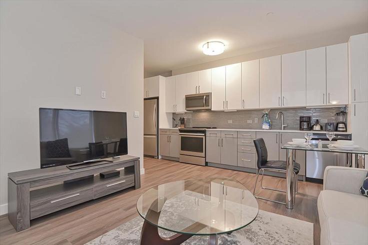 Building East Pier Drive - churchillliving - 1039905 adresindeki bir dairede modern mobilyalarla zarif bir şekilde tasarlanmış oturma odası Boston, Boston