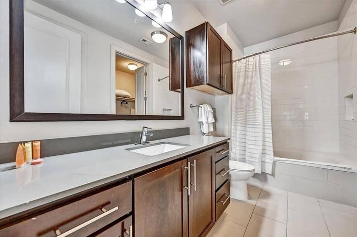 1 yatak odalı mobilyalı daire 5th Street Northeast 1039939P , Atlanta, Atlanta, fotoğraf 8